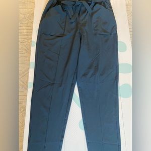 Never Worn Modern Ambition Technical Pant